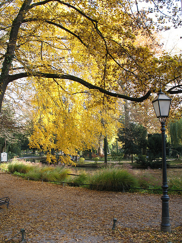 ősz a Maksimir parkban, fotó: venana, flickr.com